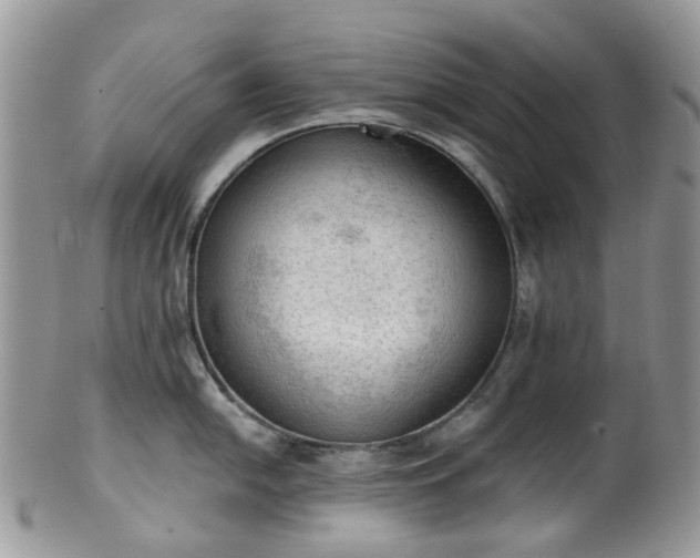 X0000100411054200806131032