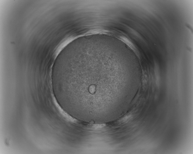 X0000100411055200806131032