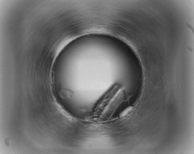 X0000100411056200806131032