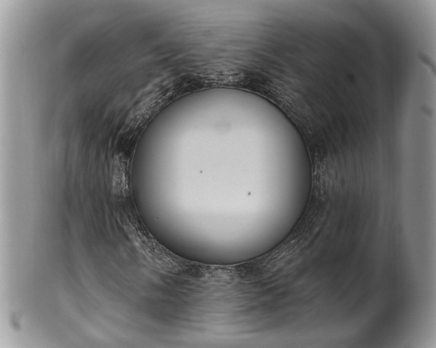 X0000100411058200806131031