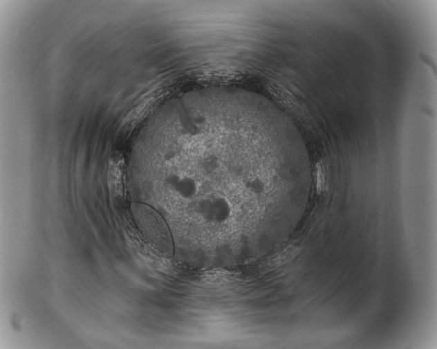 X0000100411059200806131031