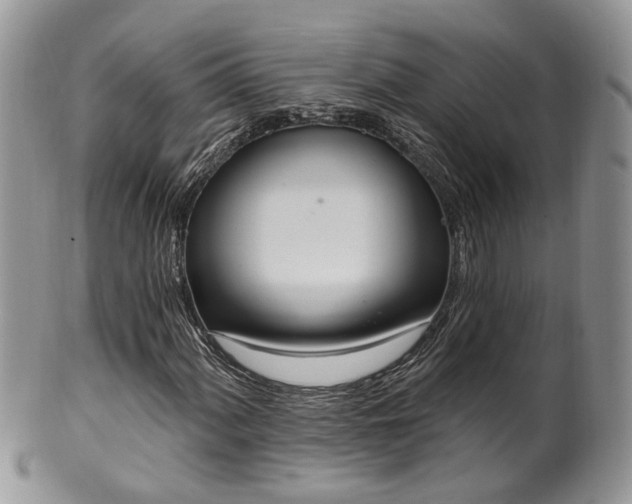 X0000100411060200806131031