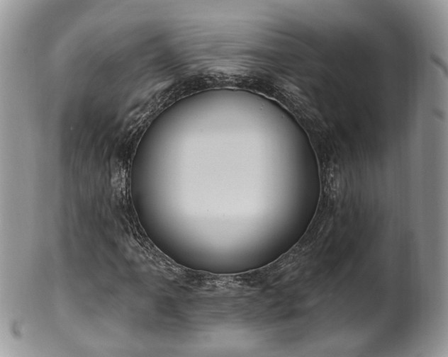 X0000100411061200806131031