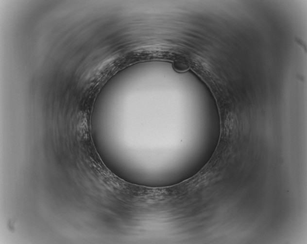 X0000100411062200806131031