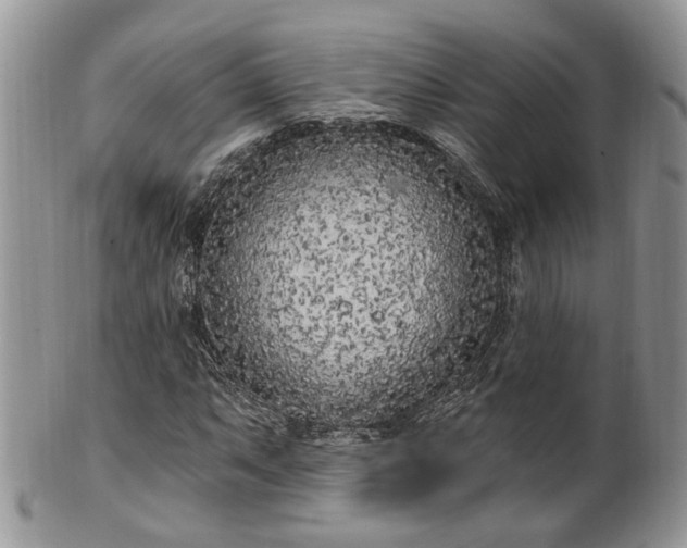 X0000100411063200806131031