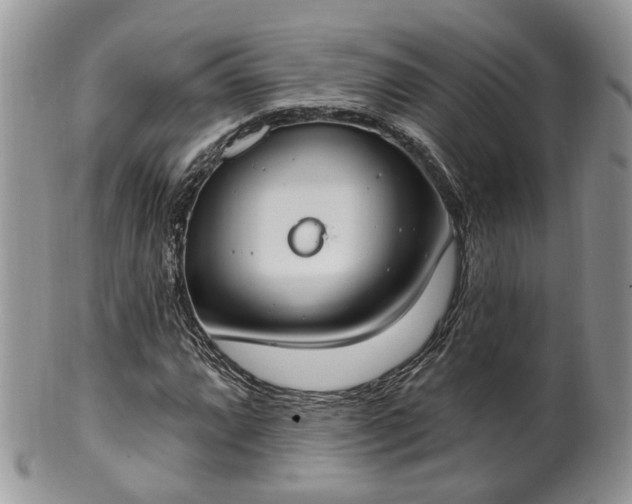 X0000100411064200806131031