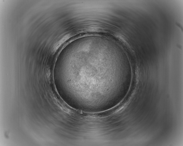 X0000100411065200806131031