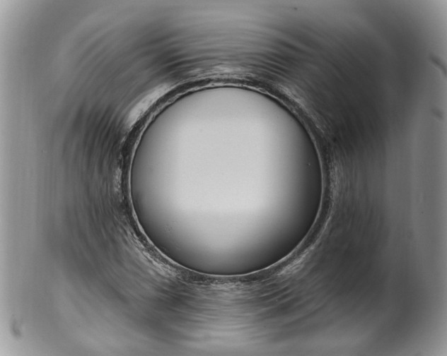 X0000100411066200806131031