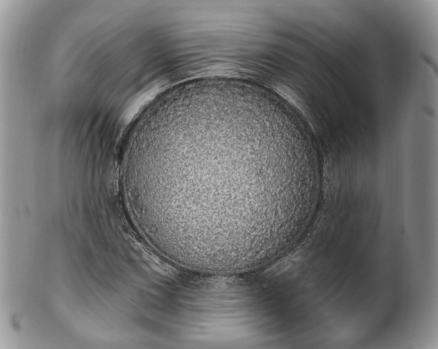 X0000100411067200806131031