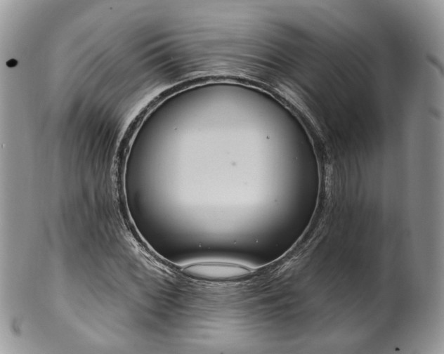 X0000100411068200806131031