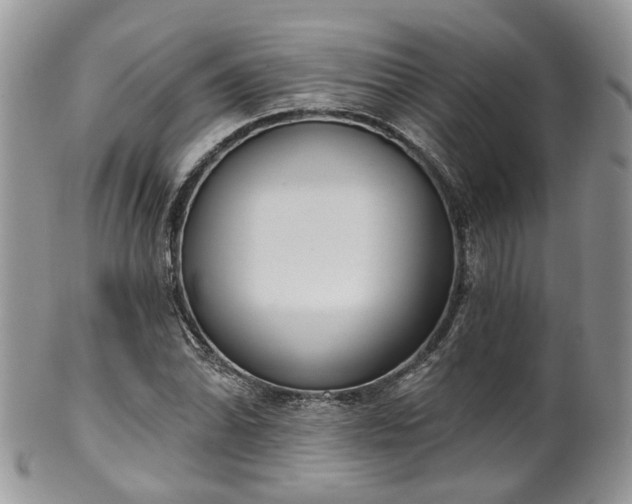 X0000100411070200806131031