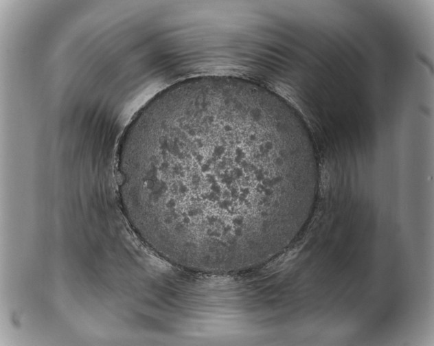 X0000100411071200806131031