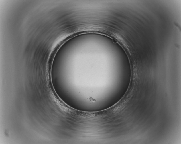 X0000100411072200806131031