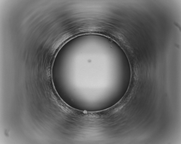 X0000100411073200806131031