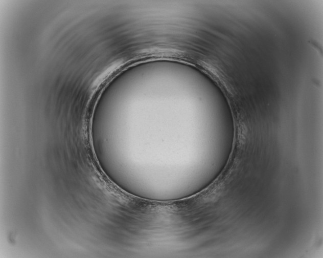 X0000100411074200806131031