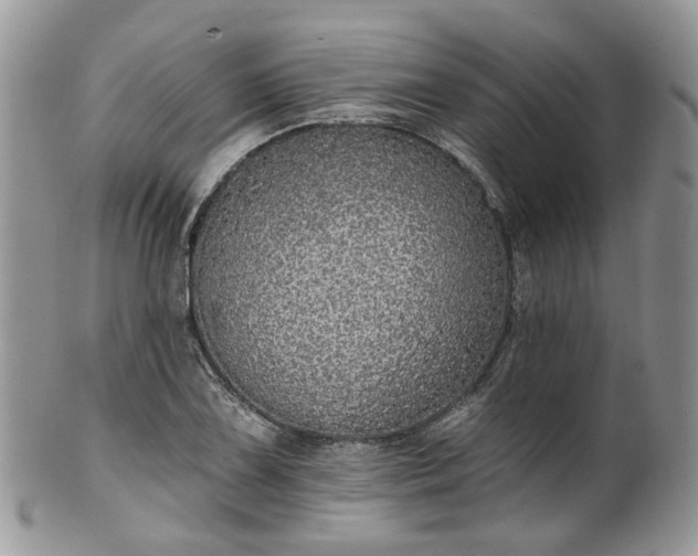 X0000100411075200806131031