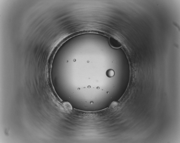 X0000100411076200806131031