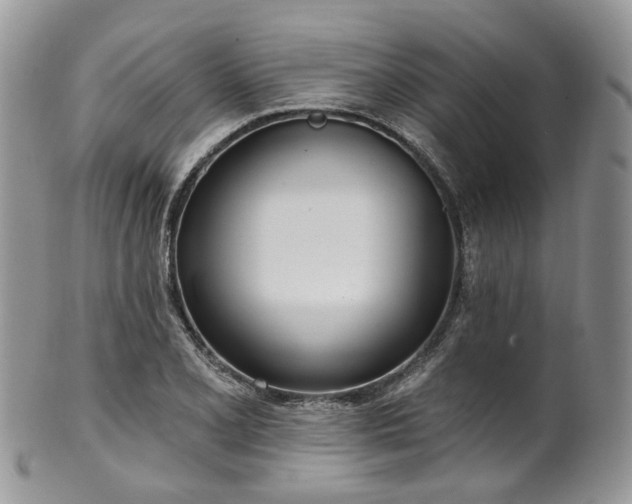 X0000100411077200806131031