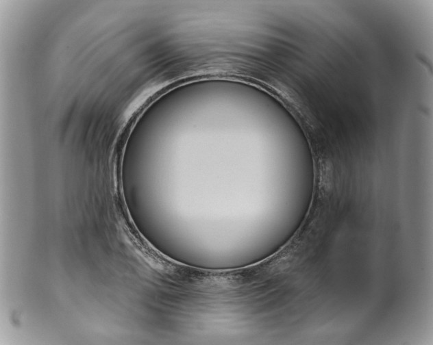 X0000100411078200806131031