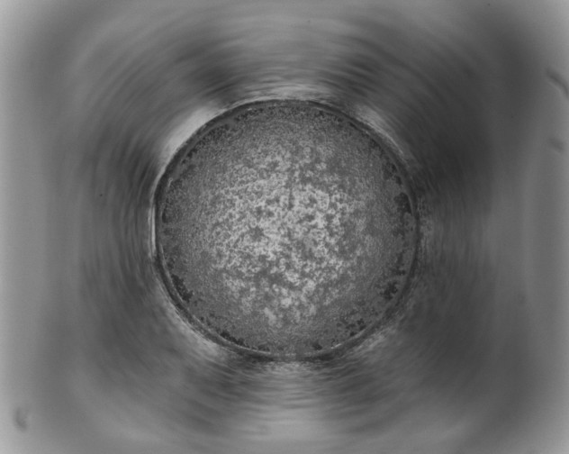 X0000100411079200806131031