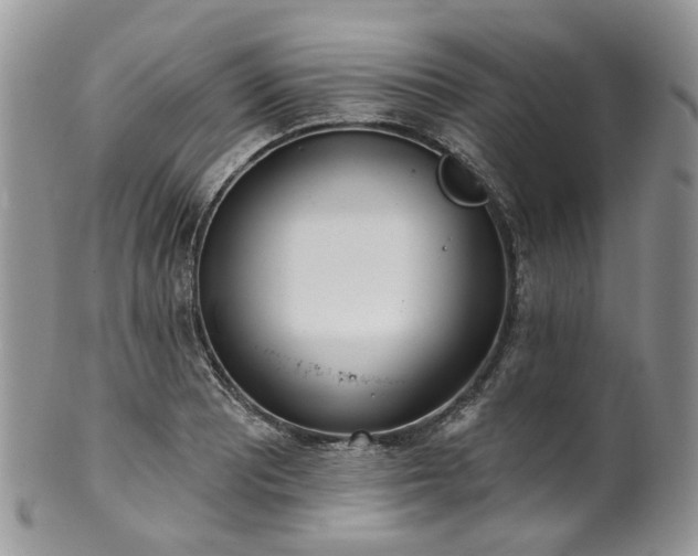 X0000100411081200806131031