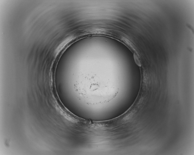 X0000100411082200806131031