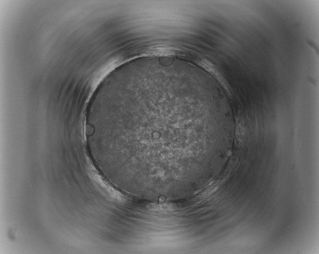 X0000100411083200806131031