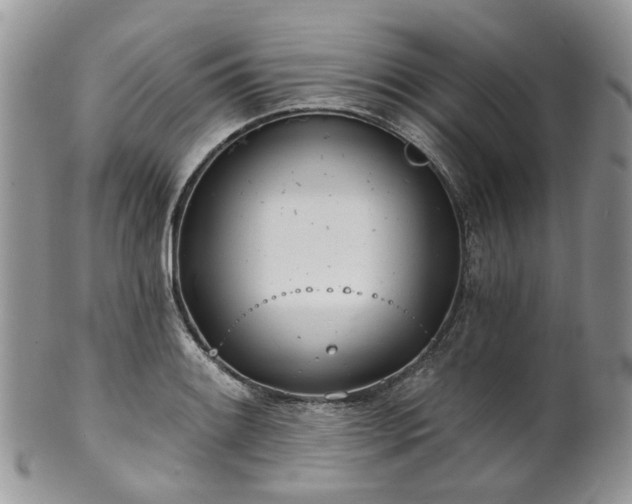 X0000100411084200806131031