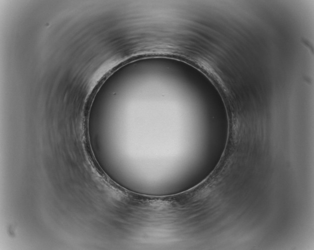 X0000100411085200806131031