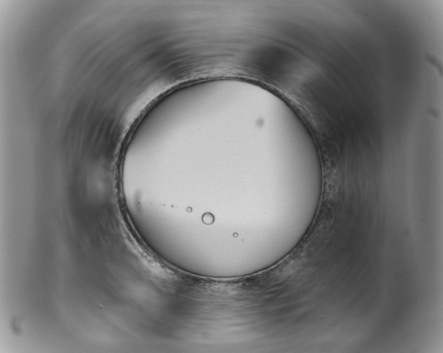 X0000100411086200806131031