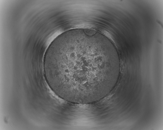 X0000100411087200806131031