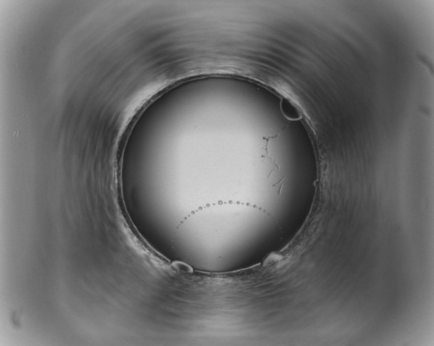 X0000100411088200806131031