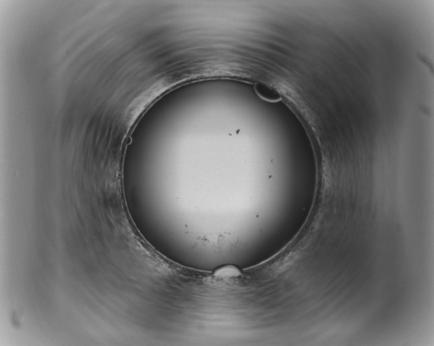 X0000100411089200806131031