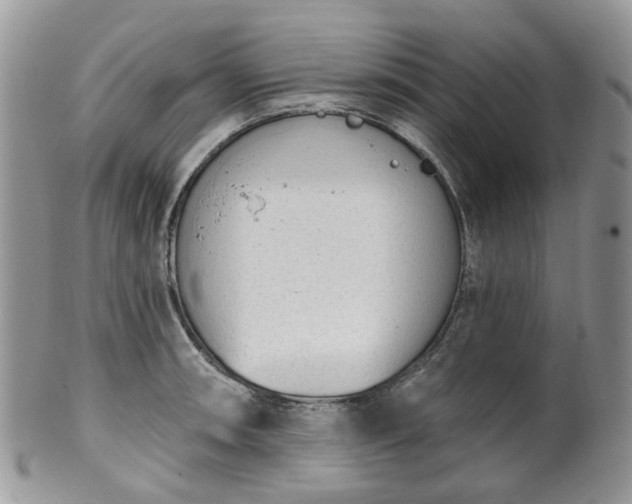 X0000100411090200806131031