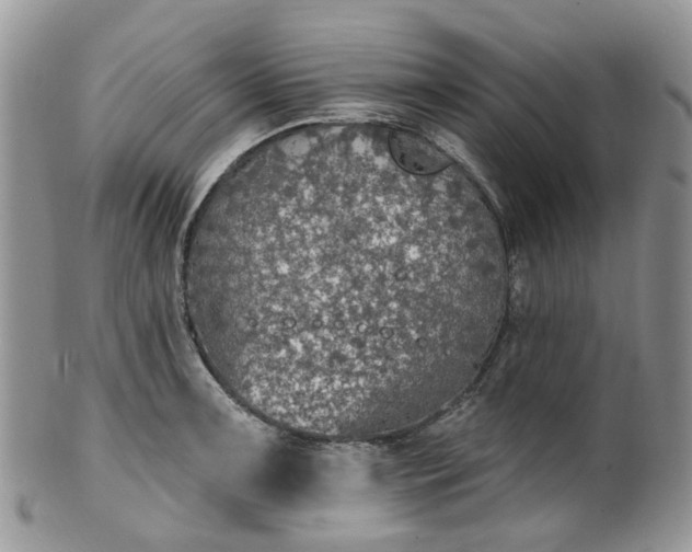 X0000100411091200806131030