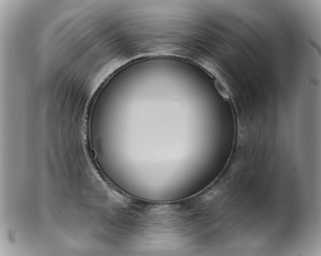 X0000100411093200806131030