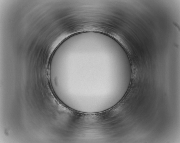 X0000100411094200806131030