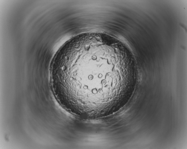 X0000100411095200806131030