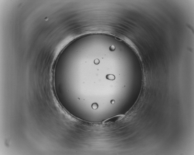 X0000100411096200806131030