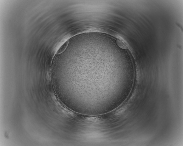 X0000100411097200806131030