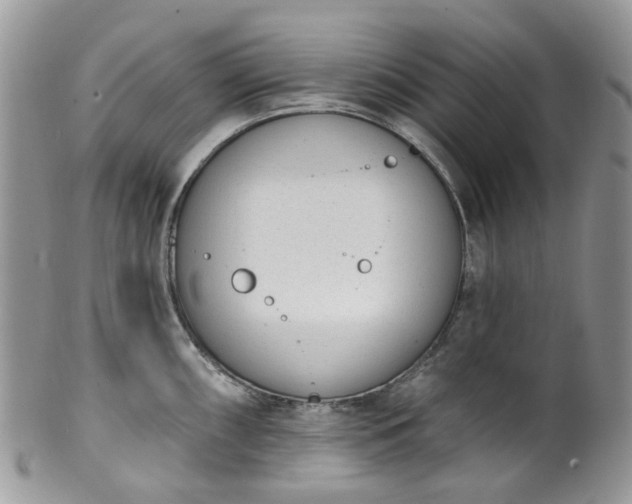 X0000100411098200806131030