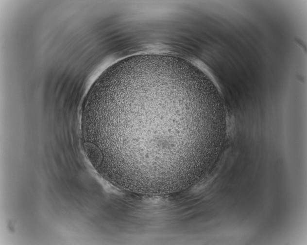 X0000100411099200806131030