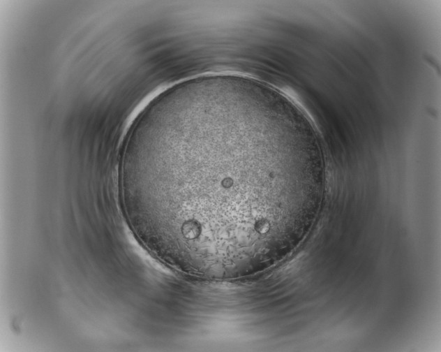 X0000100411100200806131030