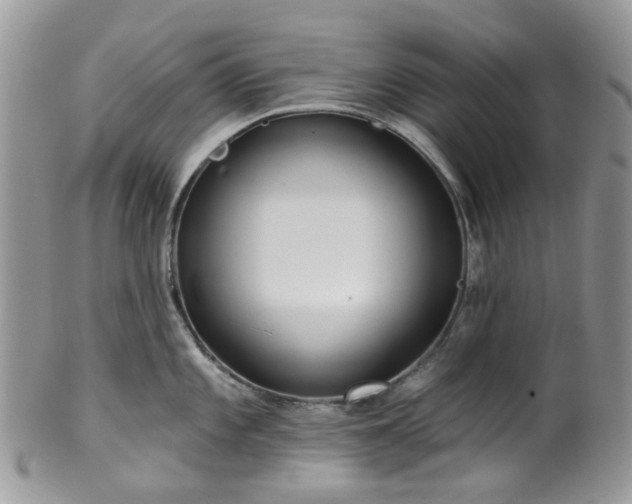 X0000100411101200806131030