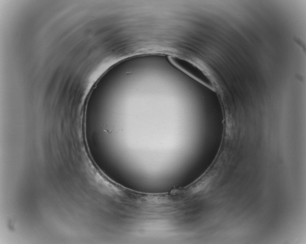 X0000100411102200806131030