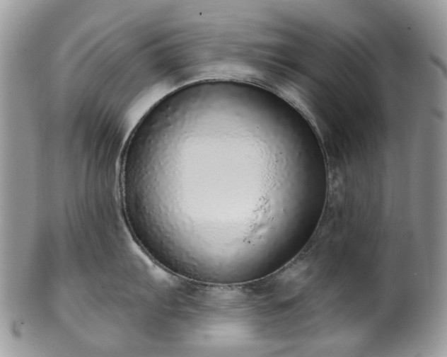 X0000100411103200806131030