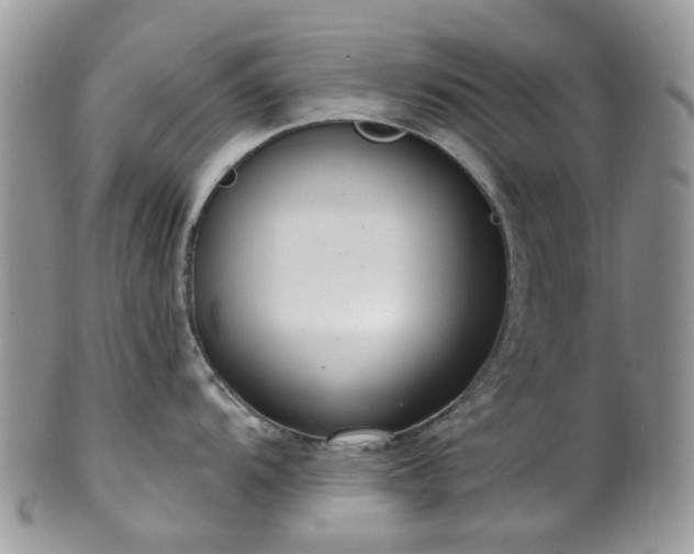 X0000100411104200806131030