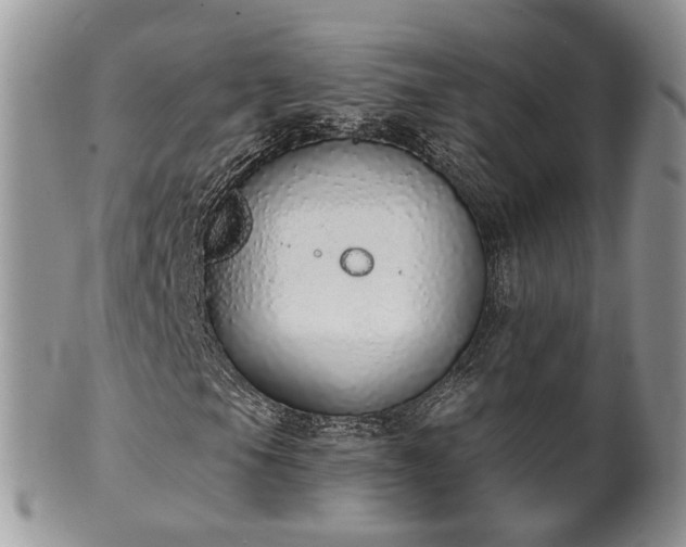 X0000100411105200806131030