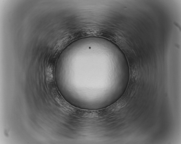 X0000100411106200806131030