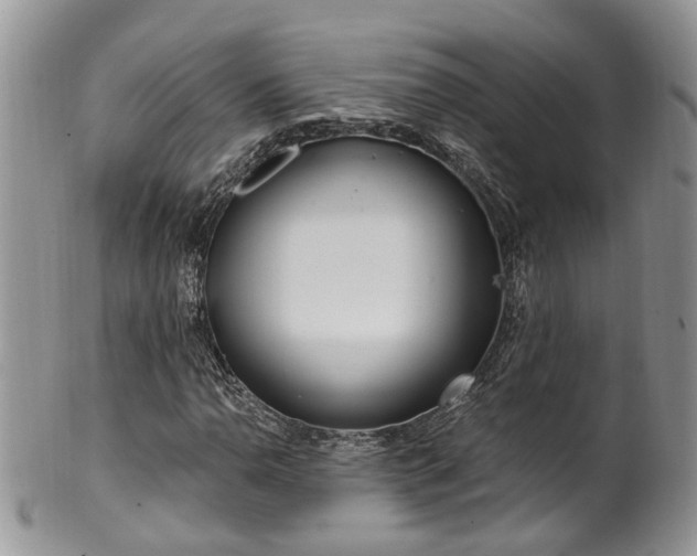 X0000100411110200806131030